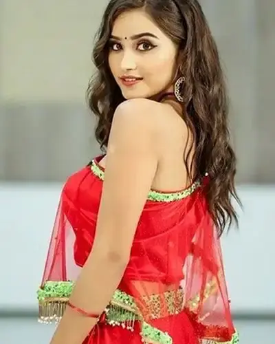 Escort In Shirdi